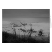 Oregon Coast Greeting Cards