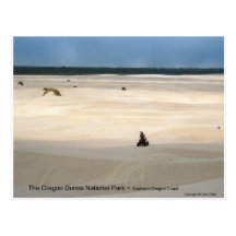 Oregon Dunes National Park 4 Wheeler Photo Art Postcards