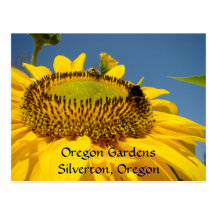 Oregon Gardens Silverton Oregon Post Cards travel