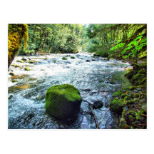 Oregon Post Cards