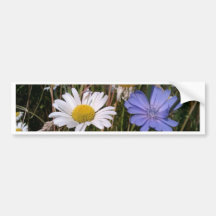 Oregon Wildflowers Bumper Stickers