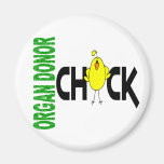 Organ Donor Chick 1 Magnet