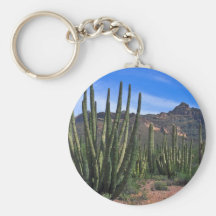 Organ Pipes In Desert Key Chain