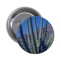 Organ Pipes Pinback Button
