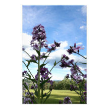 organic flowers stationery design