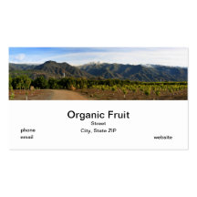 Organic Fruit Business Card Template