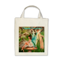 Organic Grocery Bag from Fairyland