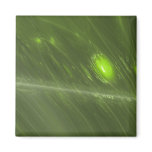 Organic Storm 1 Magnet