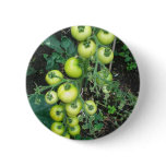 Organic Tomatoes Pins