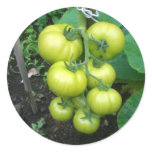 Organic Tomatoes Stickers