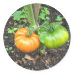Organic Tomatoes Round Sticker