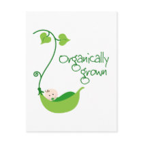 Organically Grown Baby