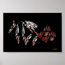 Organisez Posters