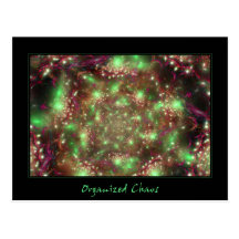 Organized Chaos Postcard
