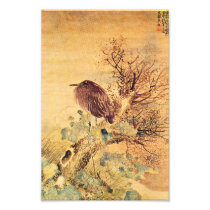Oriental Grey Heron with Hibiscus Flowers Photographic Print