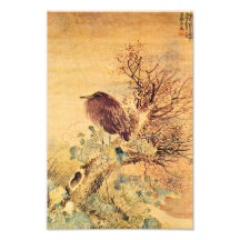 Oriental Grey Heron with Hibiscus Flowers Photographic Print