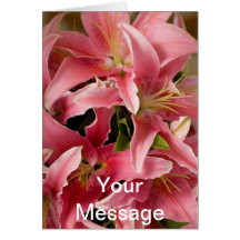 Oriental Lillies Greeting Cards