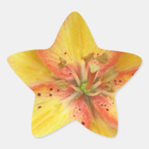 Oriental Lily Stickers