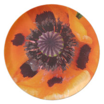 oriental orange poppy dinner plates