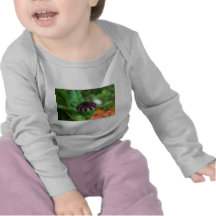 Oriental Poppy Bud Tee Shirts