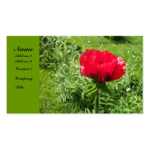 Oriental Poppy Business Card