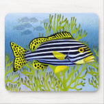 Oriental Sweetlips Reef Fish Mousepad