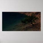 Origin Of Tranquillity - Extreme posters