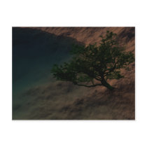 Origin Of Tranquillity Postcard