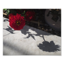 Original Flower and shadow Art Photo