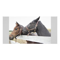 Original Horse Whisperer Customized Photo Card