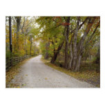 Original Nature Photography Postcard