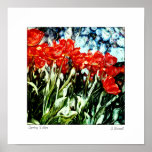 Original Photography  by Sandra L Russell Posters