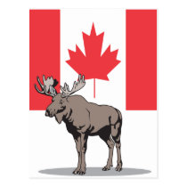 Orignaux Canada cartes postales