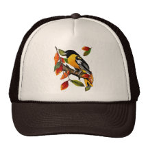 Oriole In Fall Hats