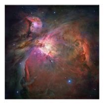 Orion Nebula Photo