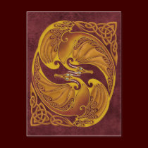 Ornamental Celtic Dragons postcards
