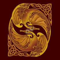 Ornamental Celtic Dragons t-shirts