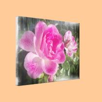 Ornamental Pink Garden Rose Canvas canvas prints