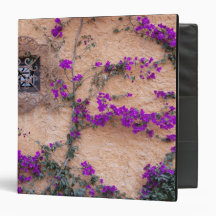 Ornamental window with bougainvillea vinyl binder