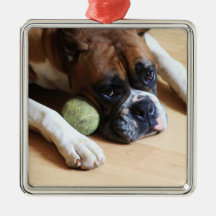 Ornement de chien de boxeur