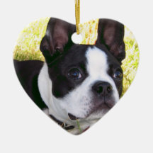Ornement de chiot de Boston Terrier