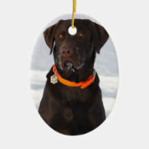 Ornement de Labrador de chocolat