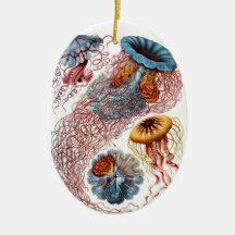 Ornement de méduses de Haeckel