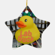 ORNEMENT DE NOËL DE CANARD DE LABORATOIRE