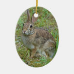 Ornement sauvage de lapin oriental de lapin
