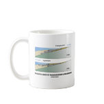 Orogeny Leads To Transgression & Regression Mug