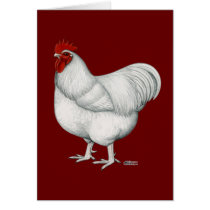 Orpington White Rooster Greeting Cards