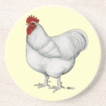Orpington White Rooster Coasters