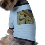 Osirian statues of Hatshepsut at her tomb Doggie T-shirt