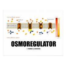 Osmoregulator (Sodium-Potassium Pump) Post Card